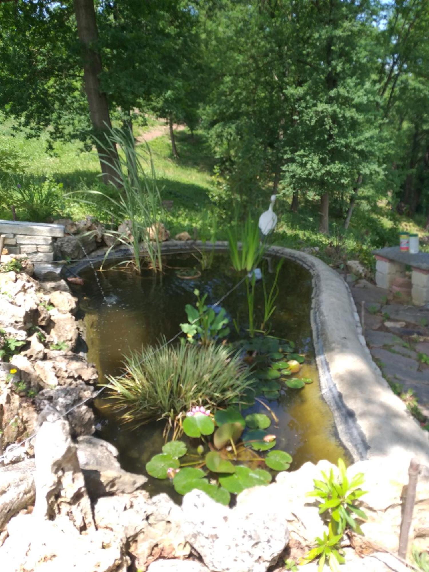 B&B La Bianchina Monale Kültér fotó